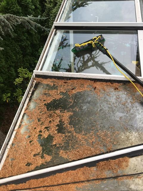 Stark verschmutztes Glasdach vor der Reinigung
